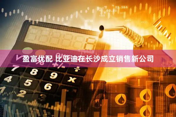 盈富优配 比亚迪在长沙成立销售新公司