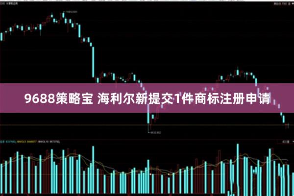 9688策略宝 海利尔新提交1件商标注册申请