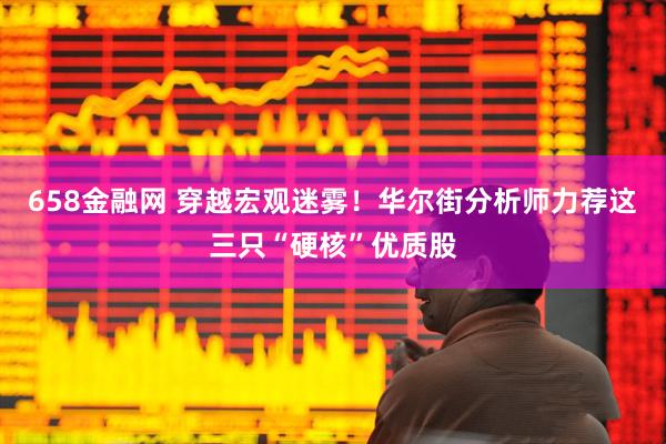 658金融网 穿越宏观迷雾！华尔街分析师力荐这三只“硬核”优质股