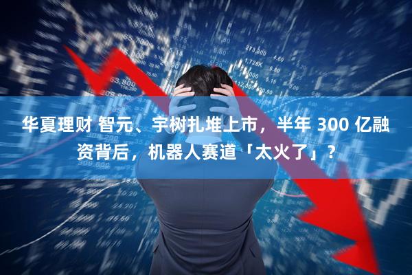 华夏理财 智元、宇树扎堆上市，半年 300 亿融资背后，机器人赛道「太火了」？