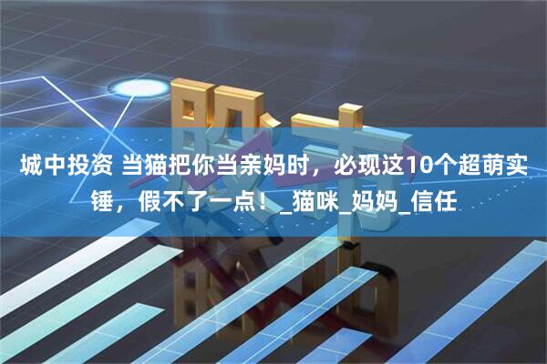 城中投资 当猫把你当亲妈时，必现这10个超萌实锤，假不了一点！_猫咪_妈妈_信任