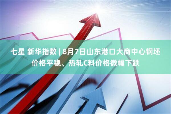 七星 新华指数 | 8月7日山东港口大商中心钢坯价格平稳、热轧C料价格微幅下跌