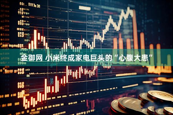 金御网 小米终成家电巨头的“心腹大患”